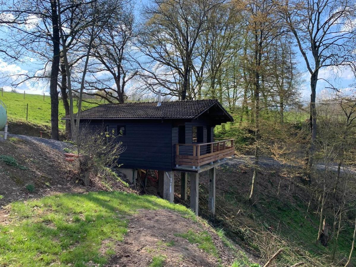 Gites Douillets : Chalet Sur Pilotis Houyet Exterior foto